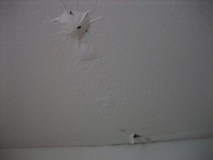 roof leak phoenix 300x225